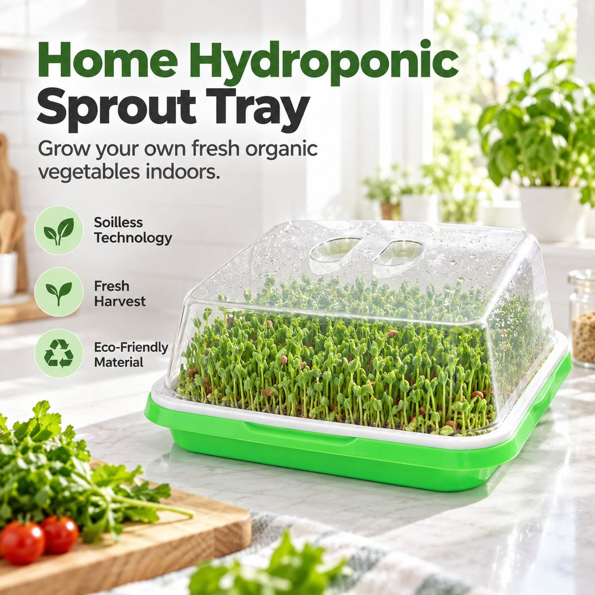 🌱🥬 Hydroponische Kweekbak voor Kiemplantjes — Kweek Zelf Verse Groenten Zonder Potgrond