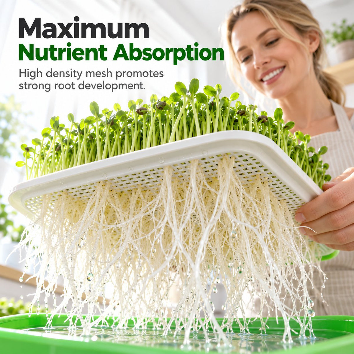 🌱🥬 Hydroponische Kweekbak voor Kiemplantjes — Kweek Zelf Verse Groenten Zonder Potgrond
