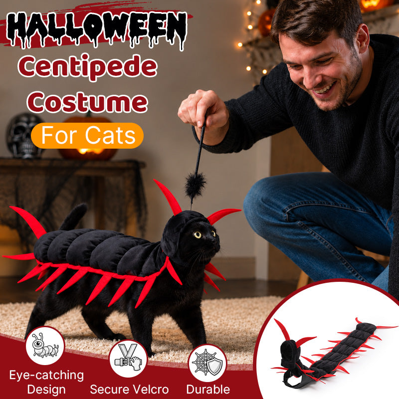 Kat Halloween Duizendpoot Kostuum