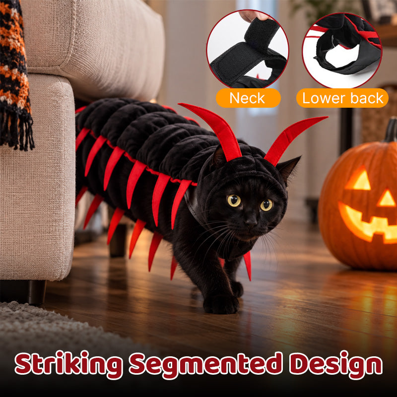 Kat Halloween Duizendpoot Kostuum