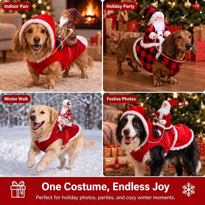 🎅 Santa Rider — feestelijke kerstoutfit voor je hond