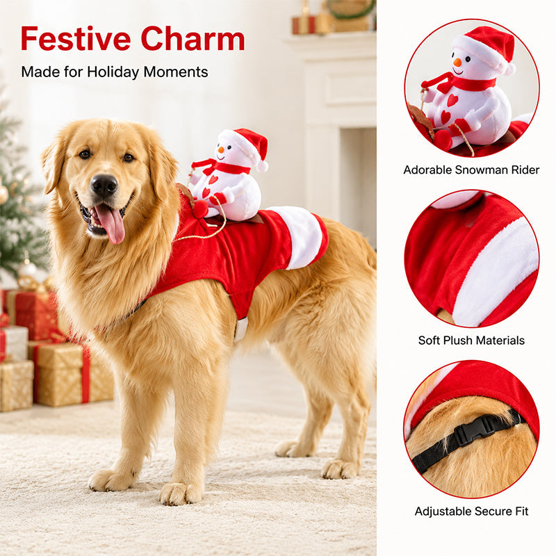 🎅 Santa Rider — feestelijke kerstoutfit voor je hond
