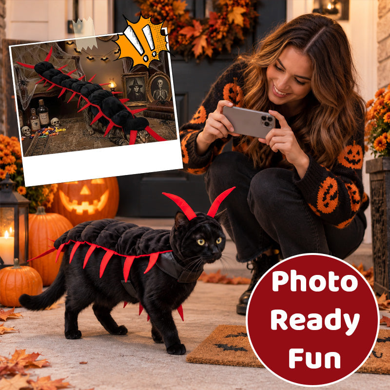 Kat Halloween Duizendpoot Kostuum