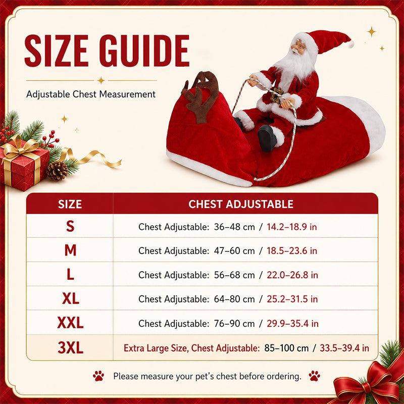 🎅 Santa Rider — feestelijke kerstoutfit voor je hond