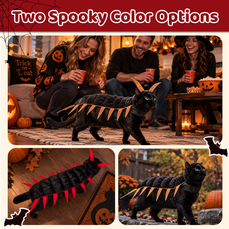 Kat Halloween Duizendpoot Kostuum