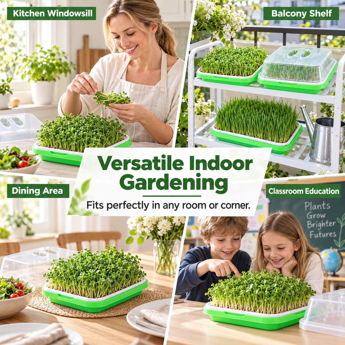 🌱🥬 Hydroponische Kweekbak voor Kiemplantjes — Kweek Zelf Verse Groenten Zonder Potgrond